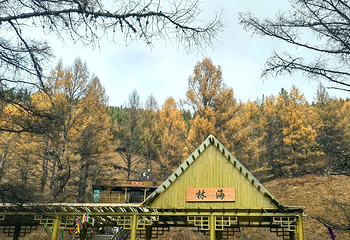 莫尔道嘎国家森林公园第 105 张图片