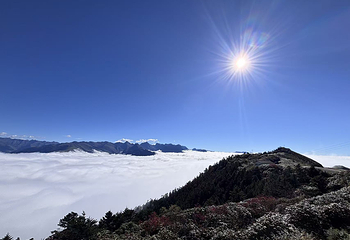 达瓦更扎第 41 张图片