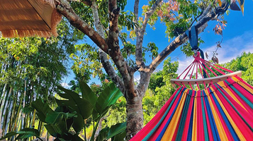 鸭洞河帐篷露营地