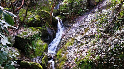赤岸风景区第 1 张图片