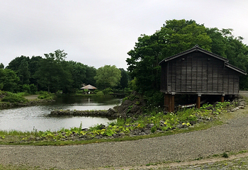 北海道开拓村第 20 张图片