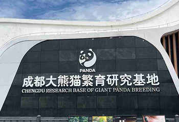 成都大熊猫繁育研究基地第 183 张图片