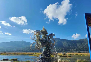 北海湿地第 111 张图片