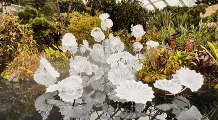 新加坡滨海湾花园第 519 张图片