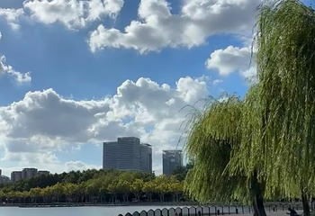 世纪公园第 95 张图片