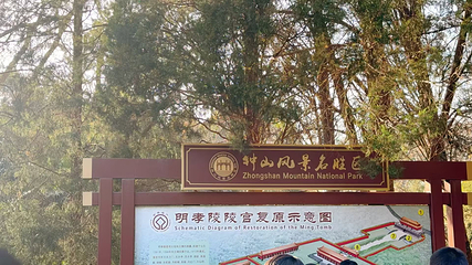 钟山风景名胜区第 197 张图片