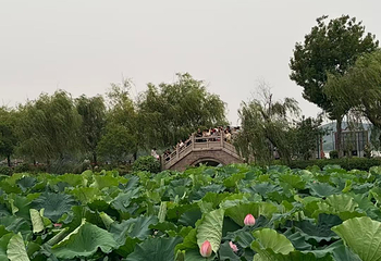 徐州云龙湖风景区第 24 张图片