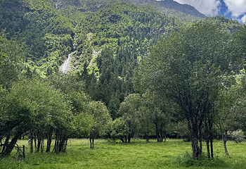 四姑娘山双桥沟景区第 184 张图片