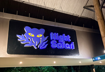 夜间野生动物园第 80 张图片