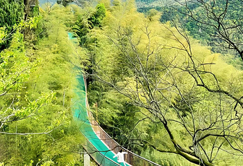 莫干山风景名胜区第 85 张图片