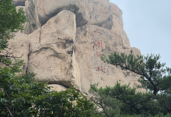 崂山风景区第 223 张图片