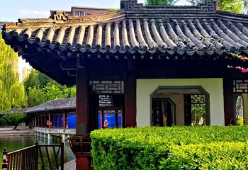 团结湖公园第 69 张图片