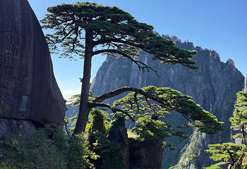黄山风景区第 255 张图片