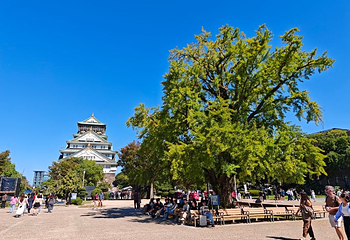 大阪城公园第 60 张图片