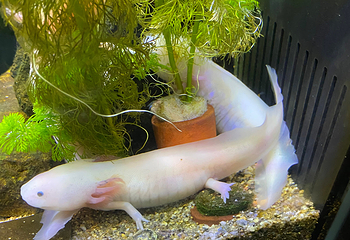丽水Aqua Planet水族馆第 7 张图片