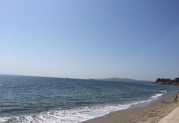 Butterfly Beach第 12 张图片