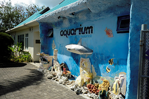 Mauritius Aquarium