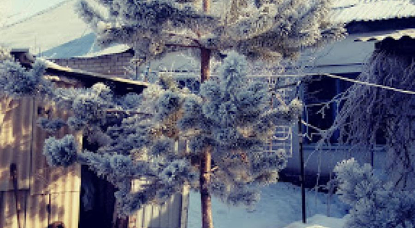 Независимый партнер компании Herbalife