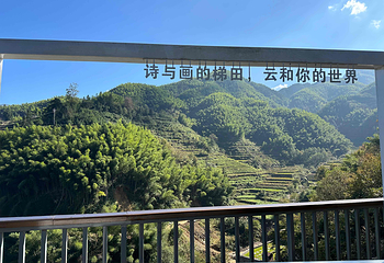 云和梯田景区第 22 张图片