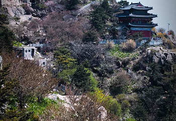 泰山风景区第 352 张图片