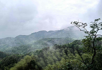 江郎山风景名胜区第 93 张图片