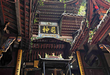 青城山第 201 张图片