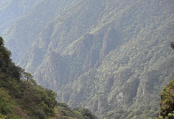 梵净山第 223 张图片