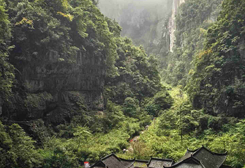 武隆天生三桥第 89 张图片