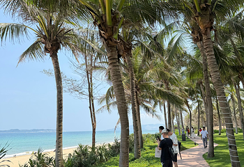 海棠湾第 107 张图片