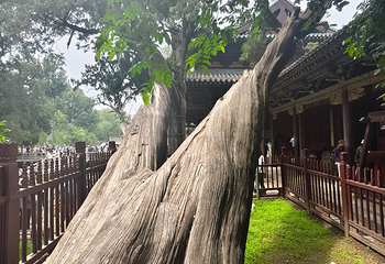 晋祠博物馆第 501 张图片