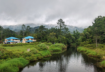 海南热带雨林国家公园吊罗山景区第 2 张图片
