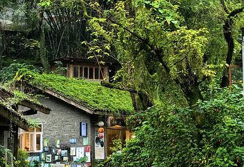 金刚碑·温泉老村第 18 张图片