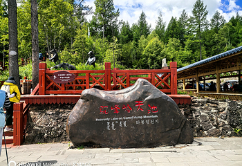 阿尔山国家森林公园第 31 张图片