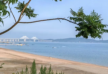 大长山岛第 10 张图片