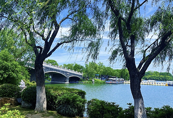 玄武湖景区第 135 张图片
