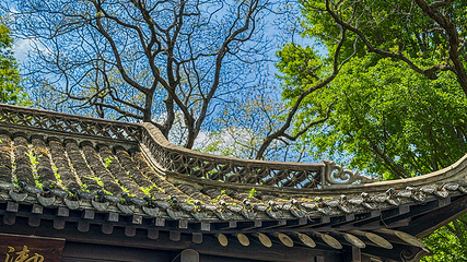瘦西湖第 62 张图片