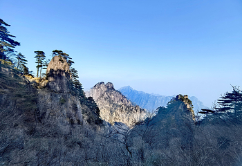 黄山风景区第 96 张图片