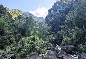 刘伯温故里景区·百丈漈第 39 张图片