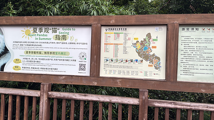 成都大熊猫繁育研究基地第 386 张图片