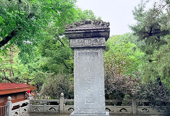 雷峰塔第 43 张图片