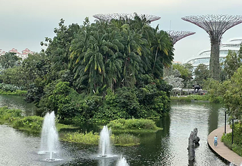 新加坡滨海湾花园第 290 张图片