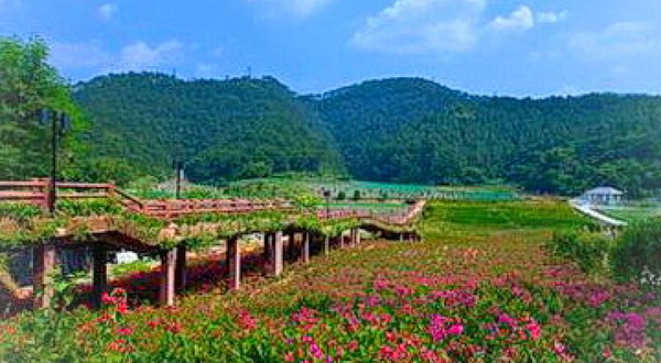 乌苏南山森林公园