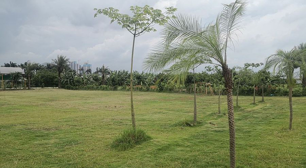 天下先生态园(海鸥岛店)