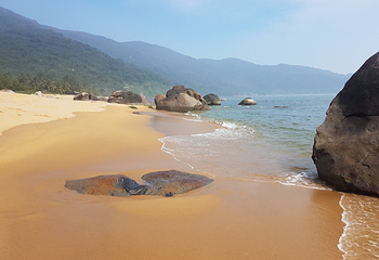 山茶半岛第 19 张图片