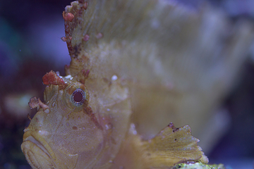 里昂水族馆第 16 张图片