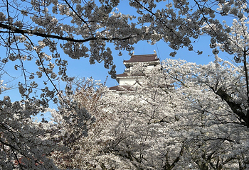 黑川城第 6 张图片