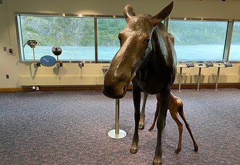 Begich Boggs Visitor Center第 6 张图片