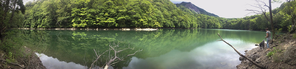 青池第 5 张图片