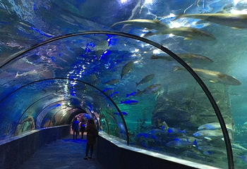 河内时代之城水族馆第 5 张图片