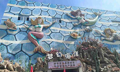 华夏文旅海洋公园第 90 张图片